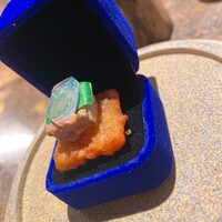 RAMA 白金 - 