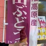 あぶくま洞外売店 - 山ぶどうソフトクリーム…税込400円