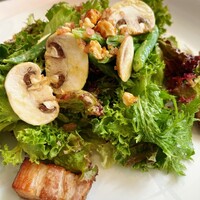 Benoit Alain Ducasse - 