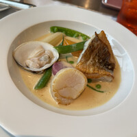 Benoit Alain Ducasse - 