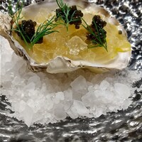 メルモーゾ ダ ドロカワ - 