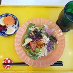 ミタケ・オアシン - 