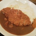 築地銀だこハイボール酒場 - カツカレー大盛＠460円