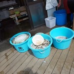 九十九里漁協直売場 おさかな新鮮大使 - ざるですくって計量
