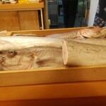 赤吉 - 並ぶ魚の数々