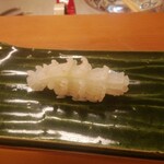 赤吉 - ケンサキイカ