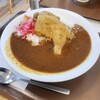 すき家 - ほろほろチキンカレー大盛　税込820円