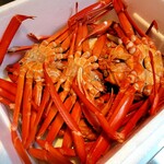 マリンドリーム能生 - 