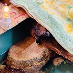 たこやき フレンド - 