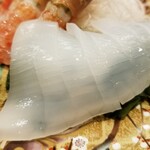 出羽鮨 - スルメイカ。