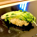 鮨おばな - 昆布〆の貝割れ　その歯応えと滲み出る旨味