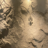 焼肉㐂舌 南船場 - 