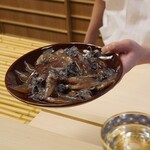 片折 - 生きた蛍烏賊、もちろん目と歯は取ります