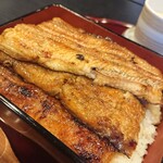 本格炭火焼うなぎ 近江牛 沙羅 - 