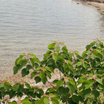 氷工房にはし - 