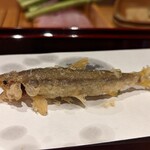 天ぷら たけうち - 大分の稚鮎