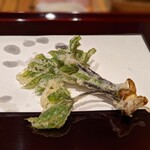 天ぷら たけうち - 山形のコシアブラ