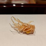天ぷら たけうち - 車海老の脚