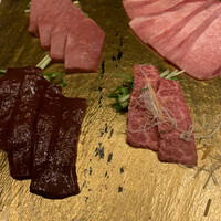 PONGA PREMIUM - 