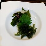 サスケ 北24条店 - お通しの海ぶどう