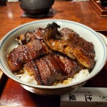 辻屋 - うなぎ上丼