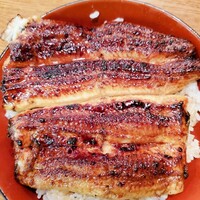吉寅 - 