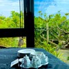 Koko Gaden Rizoto Okinawa - 