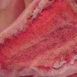 ケープコッド・クックオフ - （2013/2月）「オレンジムースデザートとアソーテッドチョコレートの断面