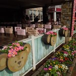 ケープコッド・クックオフ - （2013/2月）スウィート・ダッフィー期間の装飾