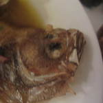 タヴェルナ・ポルチーニ - カレイさんこんにちは！