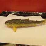 銀座 天一 - 稚鮎