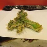 銀座 天一 - タラの芽