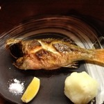 こいで - メタボのどぐろ