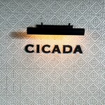 CICADA - 