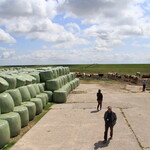 Boerderijcamping de Gèskieker - 