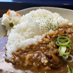 Fujiyama Purin - すじカレー 950円