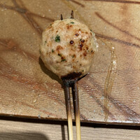 ひきざんたしざん - 