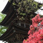 前山寺 - 