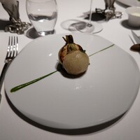 レフェルヴェソンス - 