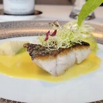 ドミニク・ブシェ トーキョー - クロムツのポワレ キャベツのファルシ ソースサフラン