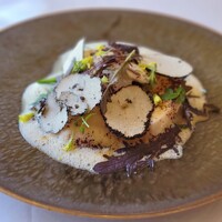 ラ・トゥーエル - 低温調理された鶏胸肉 サマートリュフ ソースヴァンジョーヌ