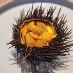 白土 - 雲丹がたっぷりでしたにはフランのようなものが。