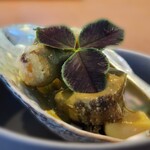 白土 - 蝦夷鮑 / あわび茸