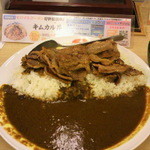 Matsuya - カルビ焼肉カレー（大盛り）