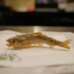 Naniwa Tempura Ishin - 