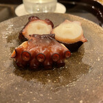 あま木 - 日間賀島　蛸