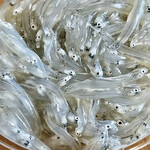 カネヒデ小林商店 - とろっとした甘味と後から追いかけてくる苦味が春の味ですね