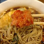 一〇そば - 紅生姜の酸味もいいね