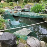 聴琴亭 - 鯉のいる池