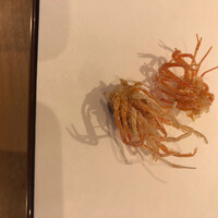 天七 - 